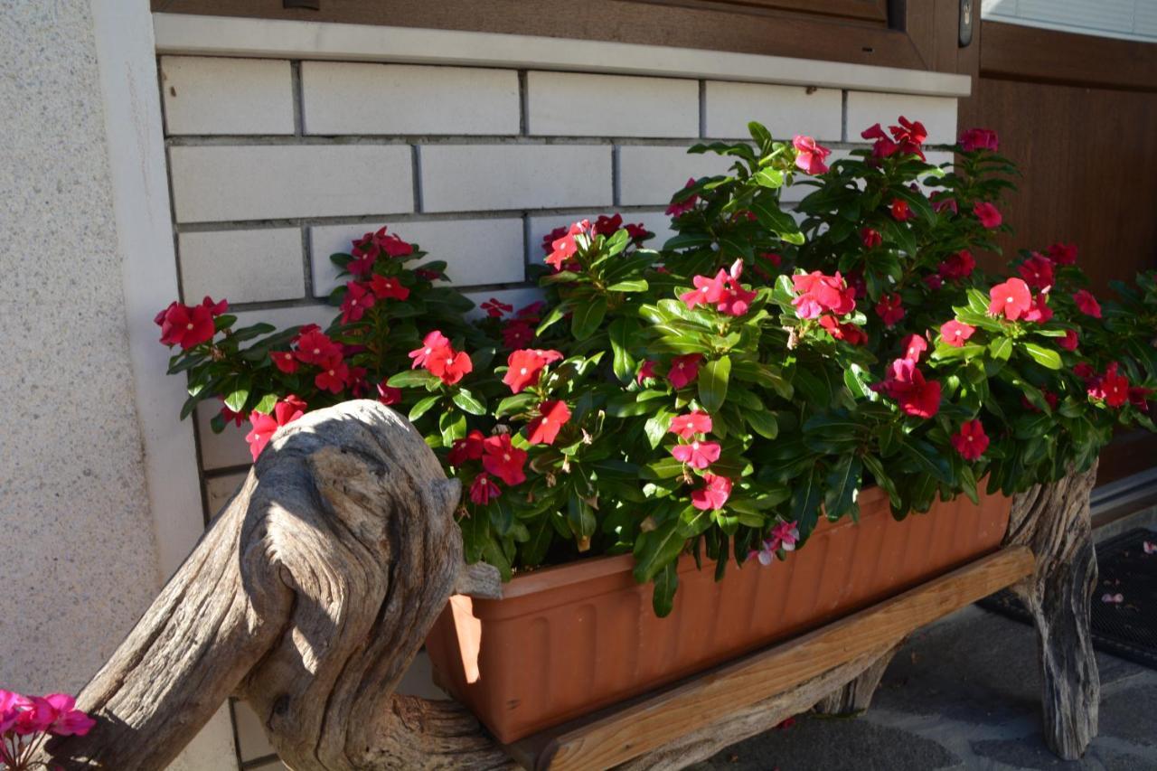 Apartma Zala Most na Soči Exterior foto