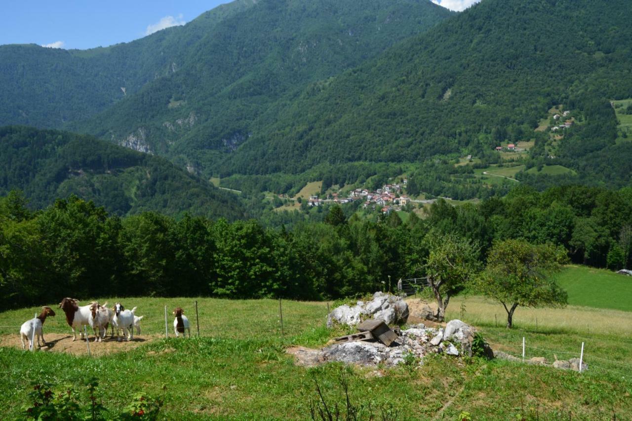 Apartma Zala Most na Soči Exterior foto